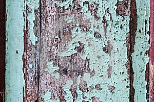 Colorful craquelure of the delaminated paint on wooden door background. Wooden texture background with old paint peels. Weathered