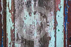 Colorful craquelure of the delaminated paint on wooden door background. Wooden texture background with old paint peels. Weathered