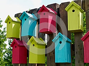 Colorful creative nesting boxes