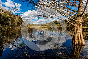 Colorful Creekfield Lake at Brazos Bend Texas