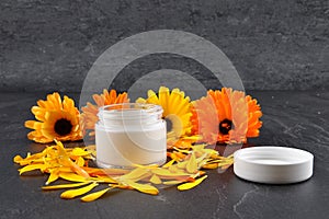 Natural cosmetics, common marigold and petals on shale