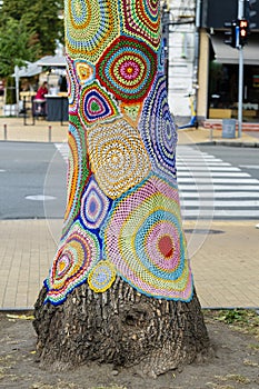 Colorful crochet knit on tree trunk in Kyiv, Ukraine. Street art goes by different names, graffiti knitting, yarn bombing.