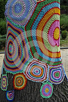 Colorful crochet knit on tree trunk in Kyiv, Ukraine. Street art goes by different names, graffiti knitting, yarn bombing.