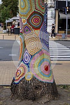 Colorful crochet knit on tree trunk in Kyiv, Ukraine. Street art goes by different names, graffiti knitting, yarn bombing.