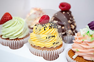 Colorful cupcakes with cream frosting and berries on top. Party box with fruit and berry muffins. Assorted cupcakes