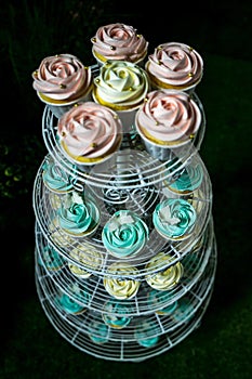 Colorful Cupcakes on cakestand against dark background photo