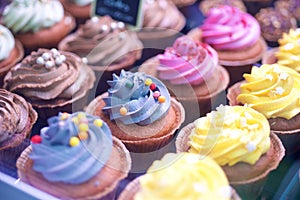 Colorful Cupcakes