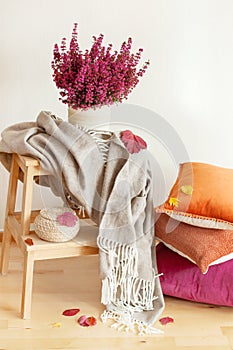 Colorful cushions throw cozy home autumn mood flower