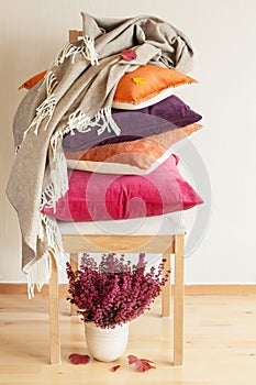 Colorful cushions throw cozy home autumn mood flower leaf
