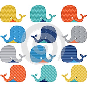 Colorful Cute Whale Collections