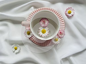 Colorful daisies in a bright rose mug
