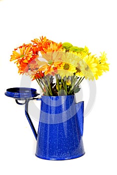 Colorful daisies in a coffe pot