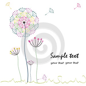 Colorful dandelion flower greeting card vector