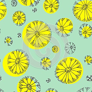 Colorful dandelion pattern