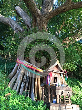 Colorful decorated buddhist shrine and offerings