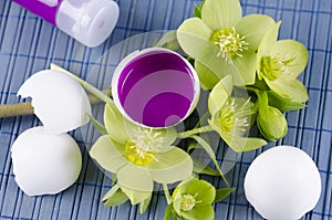 Colorful decoration for Easter with hellebore and egg shell with magenta tempera paint