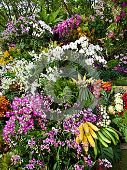 Colorful decoration of orchids, plants and vegetables