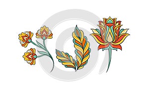 Colorful Decorative Elements with Floral Motif Vector Set