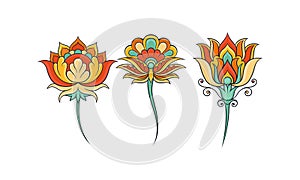 Colorful Decorative Elements with Floral Motif Vector Set