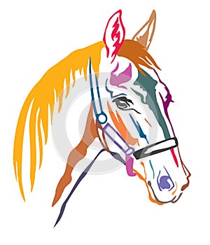 Colorful decorative horse 6