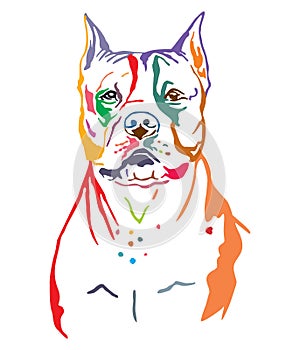 Colorful decorative portrait of American Staffordshire Terrier vector illustration photo