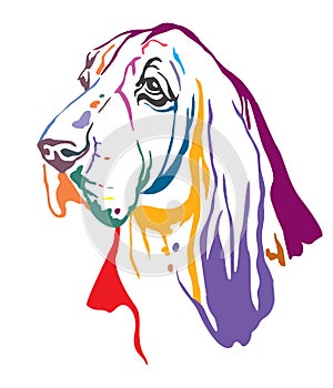 Colorful decorative portrait of Basset Hound vector illustration