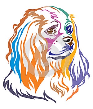 Colorful decorative portrait of Dog Cavalier King Charles Spaniel vector illustration