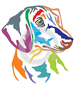 Colorful decorative portrait of Dog Dachshund vector illustratio