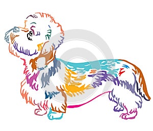 Colorful decorative portrait of Dog Dandie Dinmont Terrier vector illustration