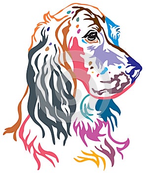 Colorful decorative portrait of Dog English Setter vector illustration