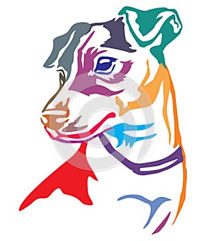 Colorful decorative portrait of Dog Jack Russell Terrier vector photo