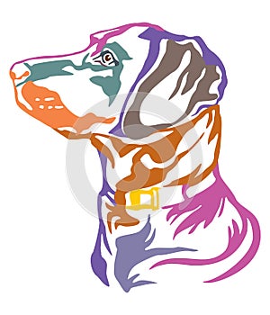 Colorful decorative portrait of Dog Labrador Retriever vector illustration