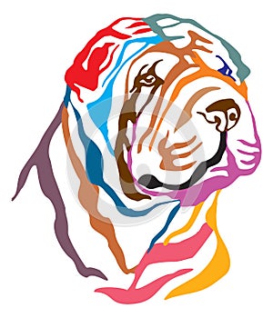 Colorful decorative portrait of Dog Shar Pei vector illustration