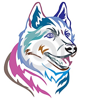 Colorful decorative portrait of Dog Siberian Husky vector illustration