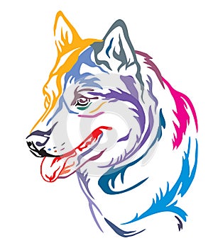 Colorful decorative portrait of Dog Siberian Husky vector illustration