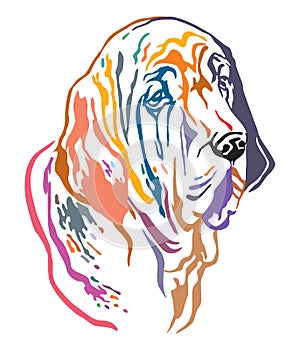 Colorful decorative portrait of Fila Brasileiro Dog vector illustration