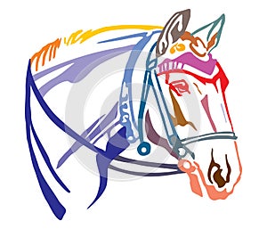 Colorful decorative portrait of horse with bridle vector illustration