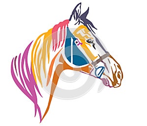 Colorful decorative portrait of horse in profile 2 vector illustration