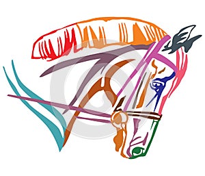 Colorful decorative portrait of horse in profile 3 vector illustration