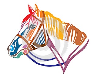 Colorful decorative portrait of horse in profile vector illustration