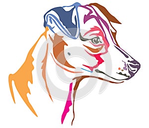 Colorful decorative portrait of Jack Russell Terrier vector illustration