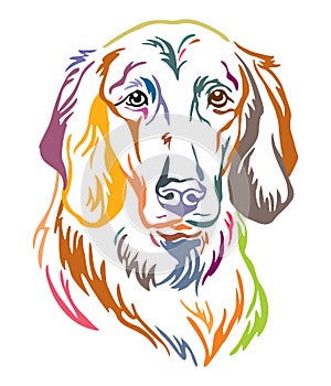 Colorful decorative portrait of Longhaired Weimaraner vector illustration