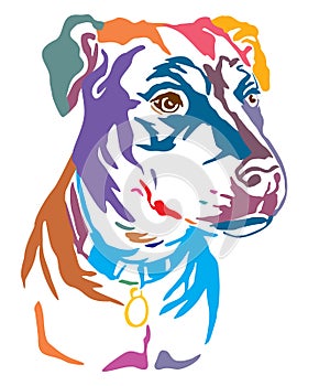 Colorful decorative portrait of Mongrel Dog vector illustration