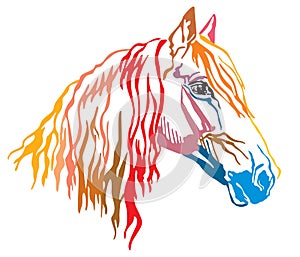Colorful decorative portrait of Orlov Trotter horse vector illus