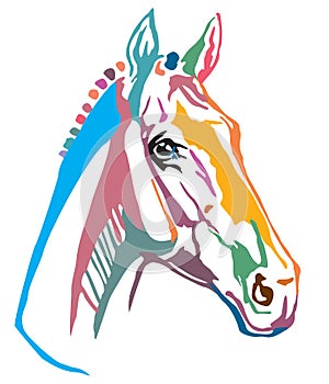 Colorful decorative portrait of Trakehner horse vector illustration