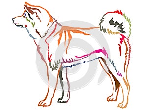 Colorful decorative standing portrait of Akita Inu