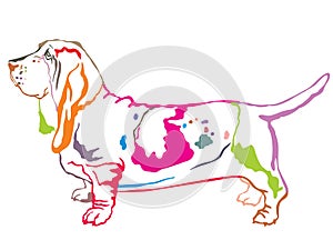 Colorful decorative standing portrait of Basset Hound vector ill