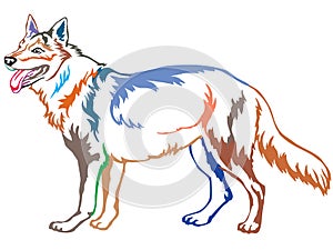 Colorful decorative standing portrait of Czechoslovakian Wolfdog vector illustration