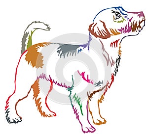 Colorful decorative standing portrait of Jack Russell Terrier