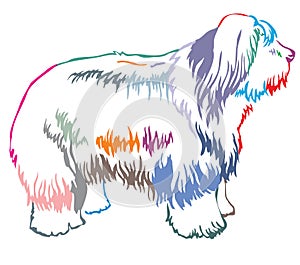 Colorful decorative standing portrait of Old English Sheepdog vector illustration